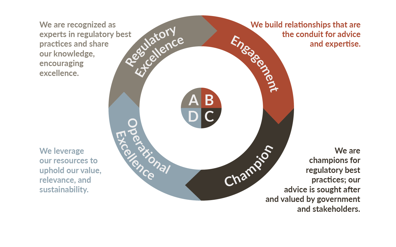 AFRHP strategic priorities